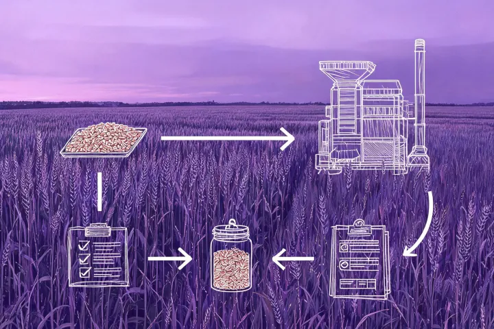 Grain procurement communication illustration